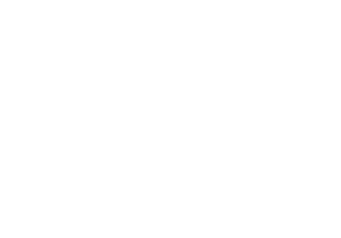 Next Wave PC logo